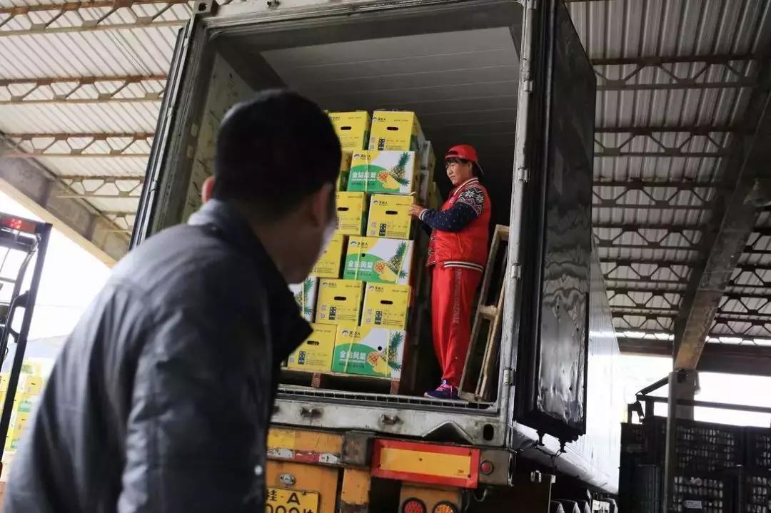  美女货车司机生活 __货车怎么找活